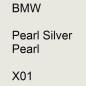 Preview: BMW, Pearl Silver Pearl, X01.